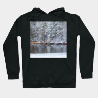 Snowing at the lake Hoodie